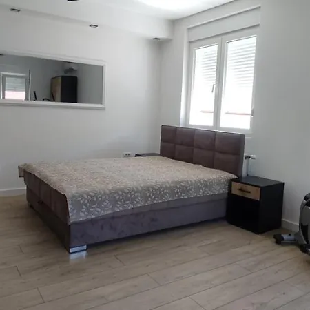 Trivunov -studio 1 * 彼得罗瓦拉丁