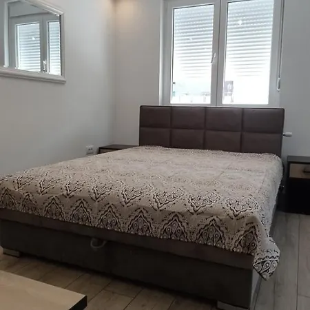 公寓 Trivunov -studio 1 彼得罗瓦拉丁