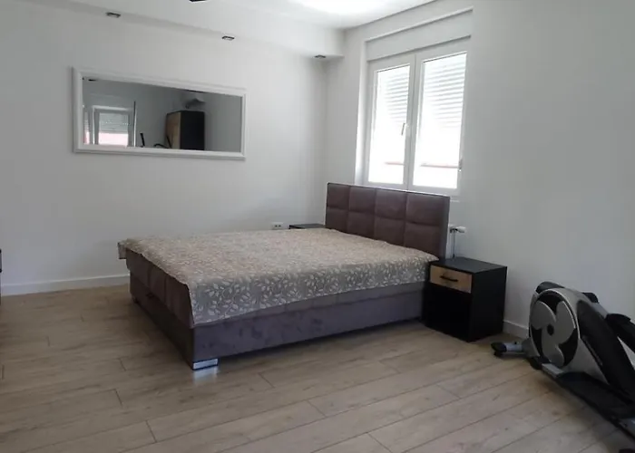 Trivunov -studio 1 * 彼得罗瓦拉丁