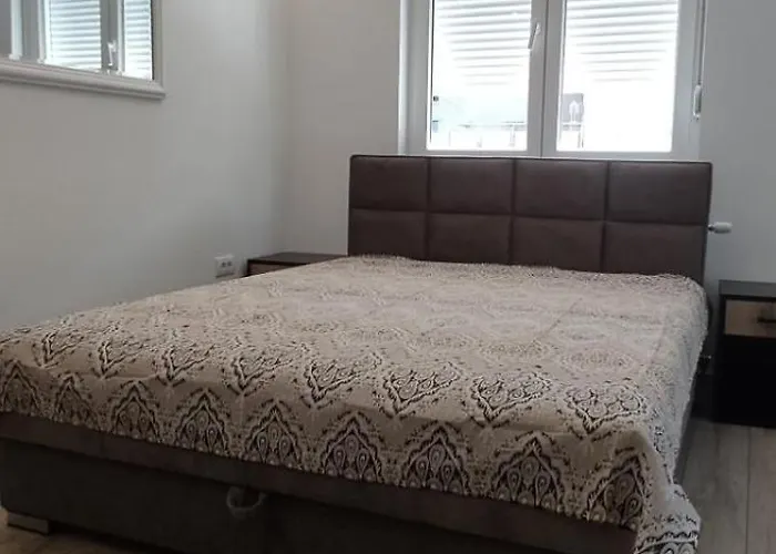 公寓 Trivunov -studio 1 彼得罗瓦拉丁