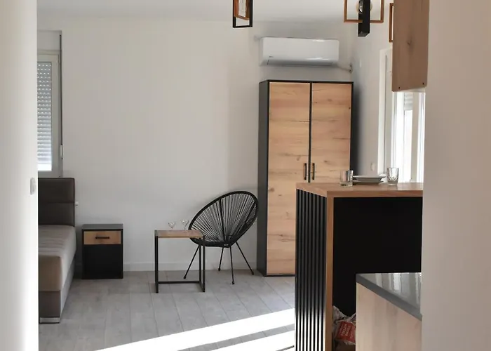 Trivunov -studio 1 公寓 彼得罗瓦拉丁