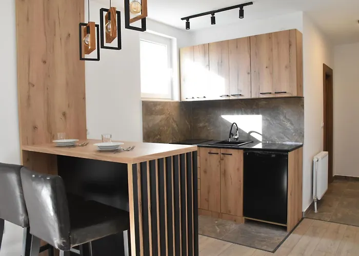 公寓 Trivunov -studio 1 彼得罗瓦拉丁